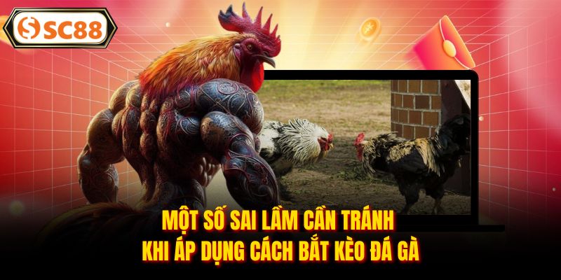 Một số sai lầm cần tránh khi áp dụng cách bắt kèo đá gà